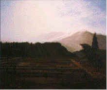 wpe31.jpg (4505 oCg)